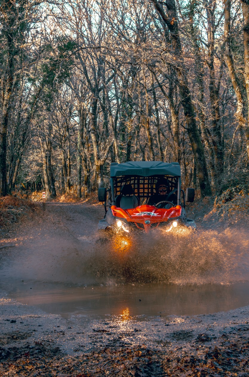 BuggyTour photo 1